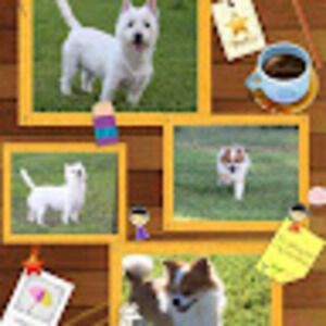 Meet your Posher, Hyekyung